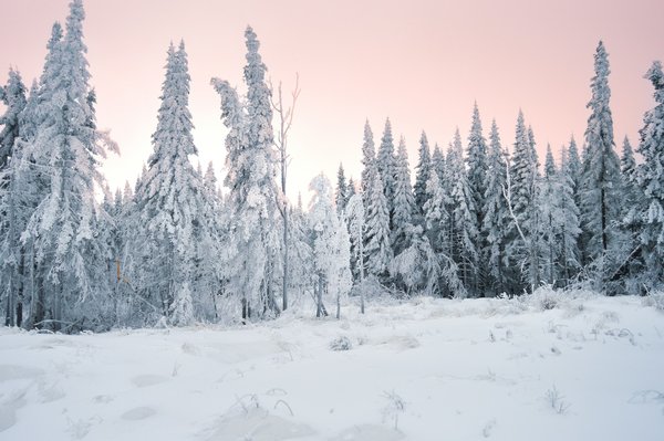 Quelles sont les meilleures techniques pour monter une tente sur un sol enneigé?