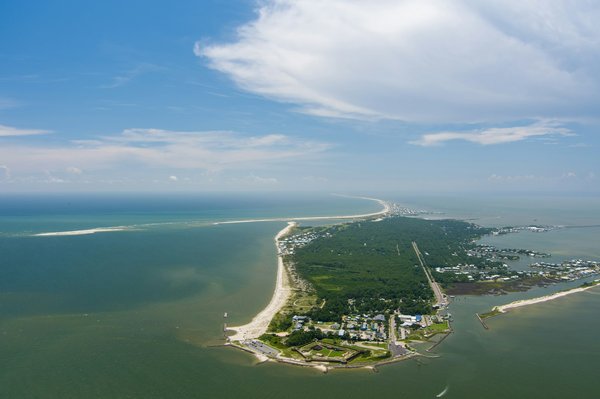 Quels sont les meilleurs spots pour observer les dauphins en liberté au Costa Rica ?